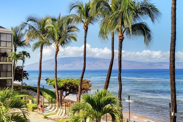 Palm Framed Oceanfront Paradise Views