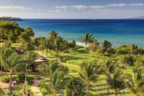Ocean Views Framed By Palm Trees