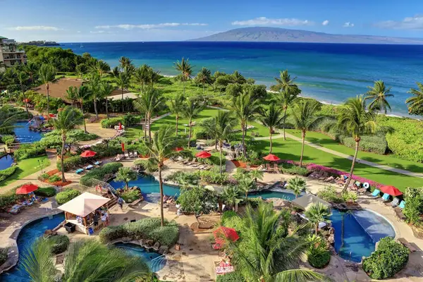 Lush Tropical Gardens From Above