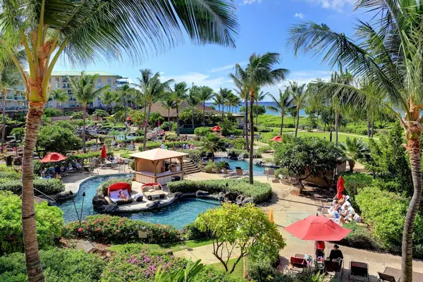 Lagoon-style pool surrounded by palm trees