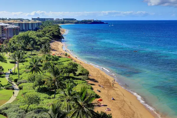 Breathtaking Coastline From Above
