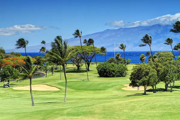Golf Course Views With Ocean Backdrop