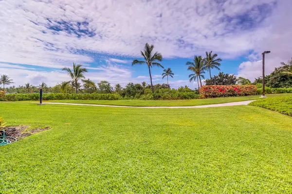 Expansive Manicured Lawn with Soaring Palm Trees under Scenic Skies