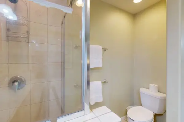 Glass-Enclosed Walk-In Shower & Toilet Area