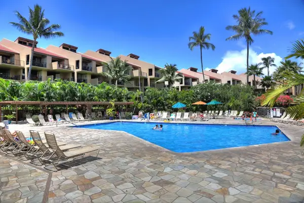 Refresh in the sparkling pool surrounded by tropical palms