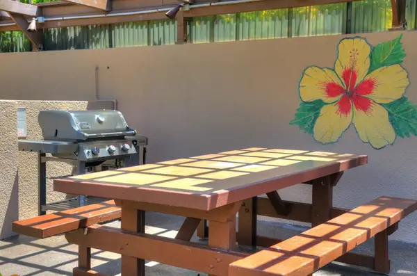 Outdoor grilling area perfect for casual island meals