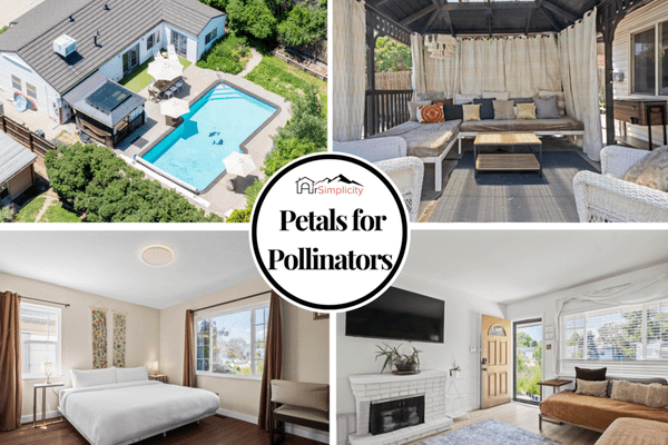 Petals for pollinators – heated pool
