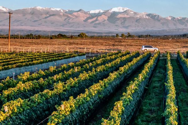 Wine Country TPGT