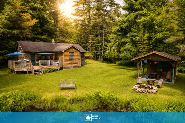 Pine Swamp Cabin