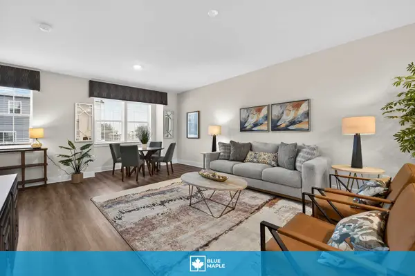 Winchester Modern