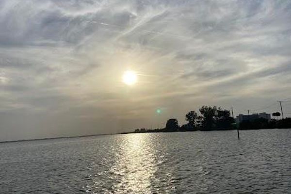 Cocoa Beach Dolphin Tours