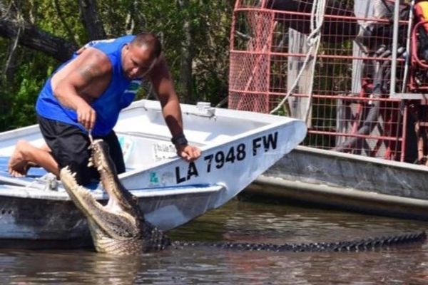 Large Airboat Swamp Tour with New Orleans Pick Up
