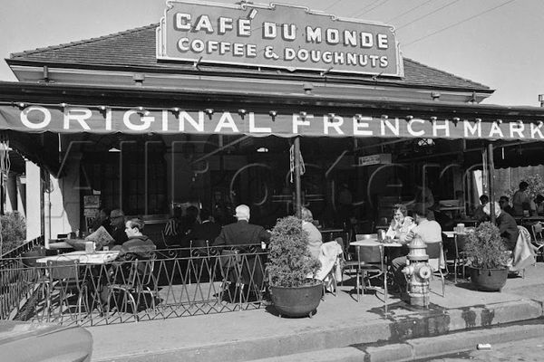 Cafe Du Monde French Market