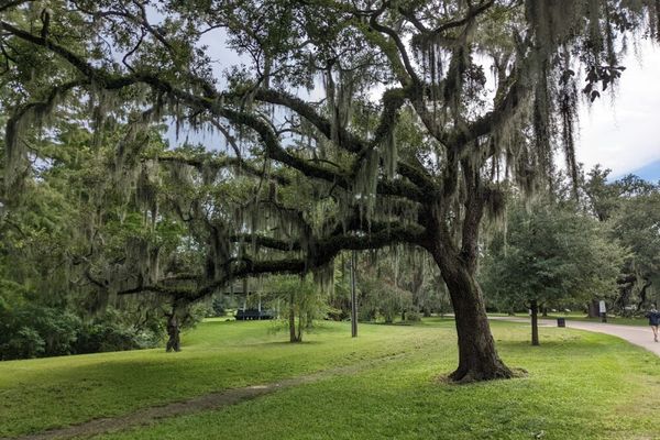 Audubon Park