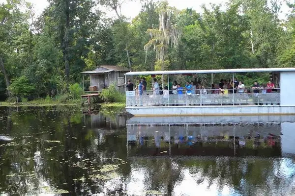 Jean Lafittes Swamp Tours