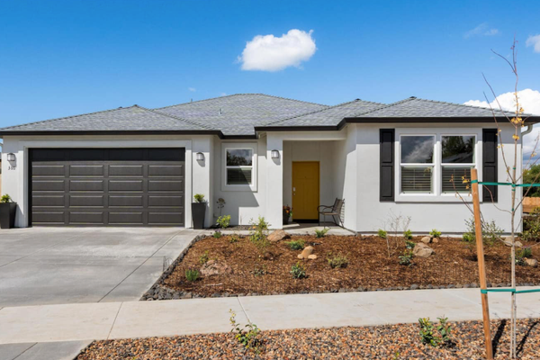 Newly Built Suburban Family Retreat