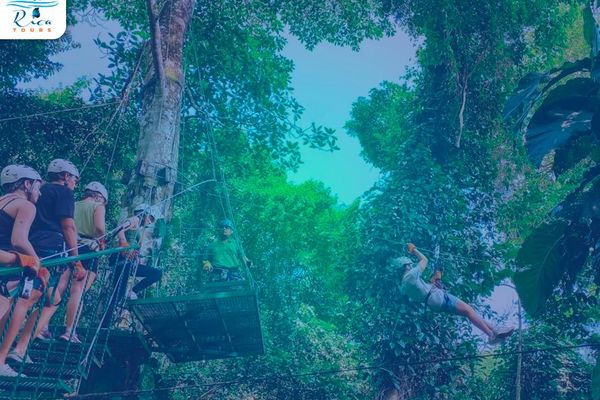 Flight of the Toucan