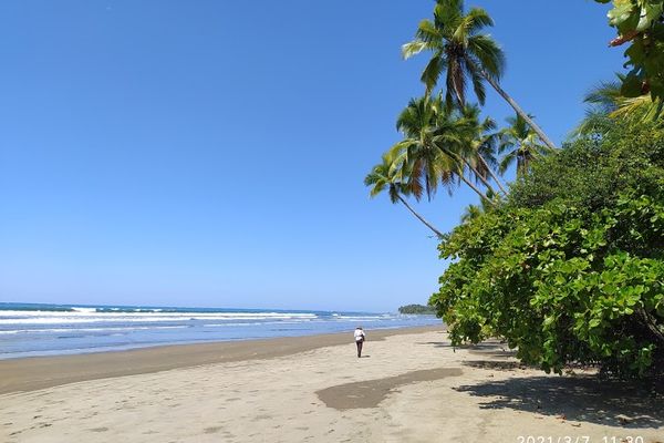Playa Hermosa Uvita Costa Rica