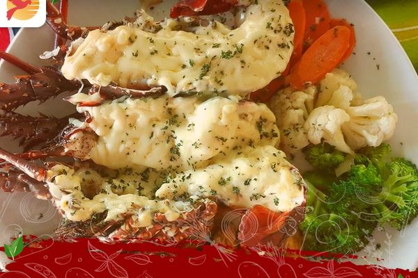 Mediterraneo Boca Coronado