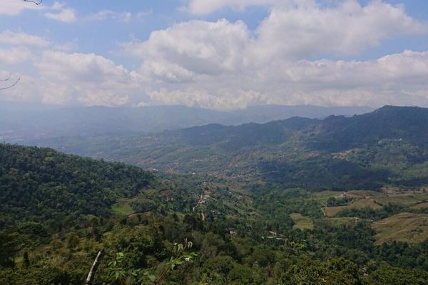 Las Quebradas Biological Center