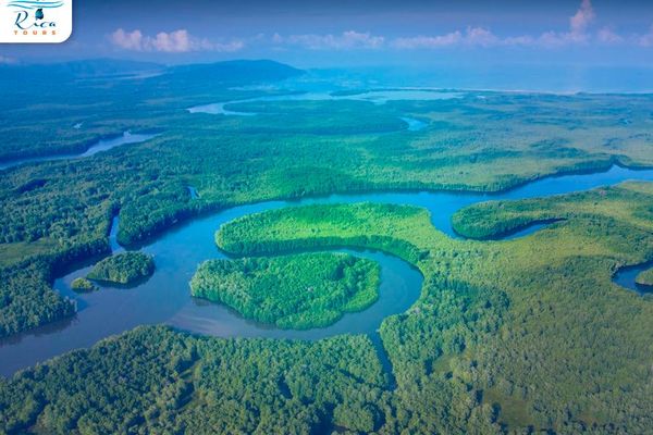 Mangrove Tour Sierpe