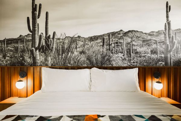 Midnight Cactus Room | La Vista Motel