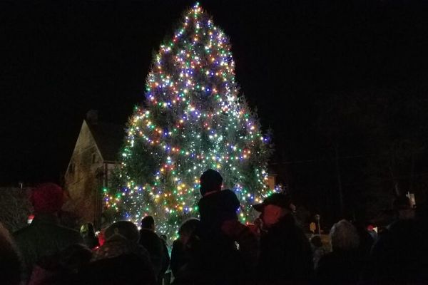 High Falls Holiday Tree (Seasonal)