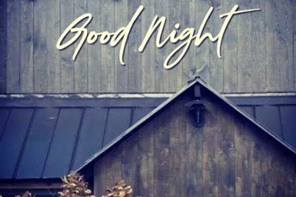 Good Night