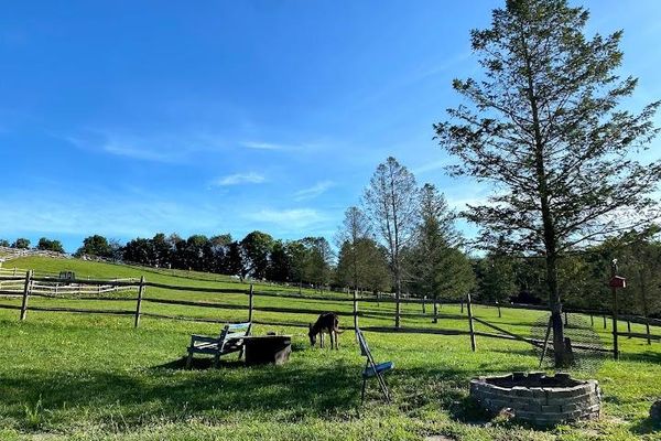 Rolling Stone Ranch LLC