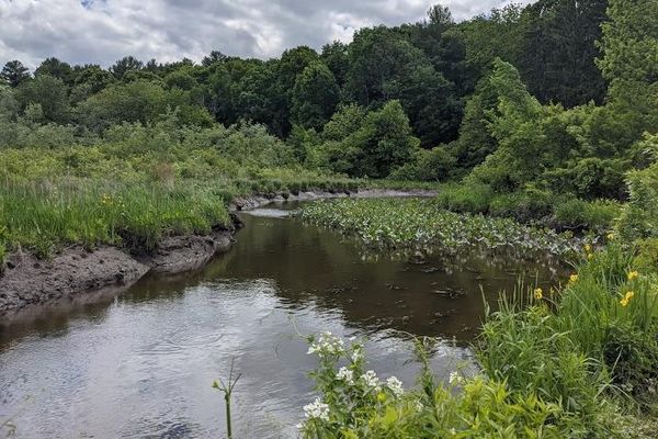 RamsHorn-Livingston Audubon Sanctuary
