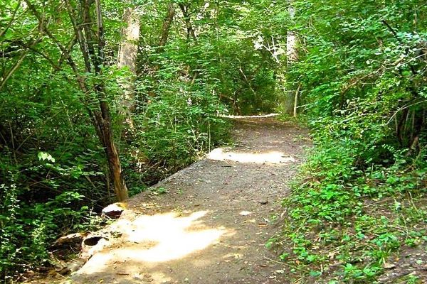 Dutch Heritage Farming Trail