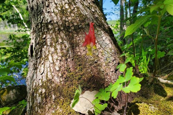 Great Vly Wildlife Management Area