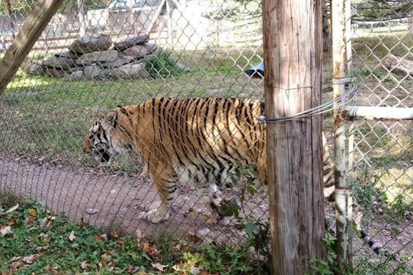 Bailiwick Animal Park and Riding Stables