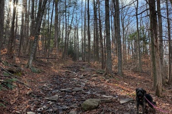 Tremper Mountain Trail