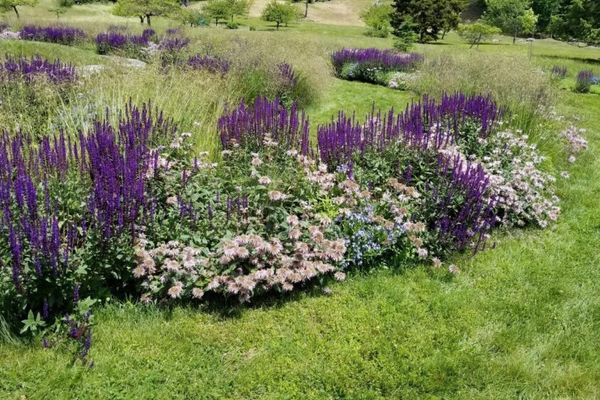 Mountain Top Arboretum