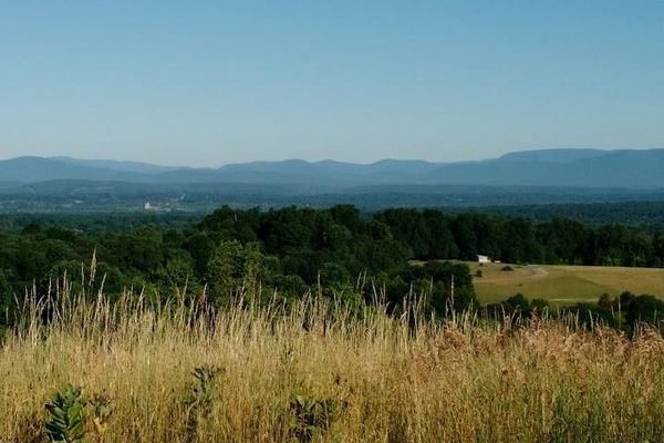 Drayton Grant Park at Burger Hill