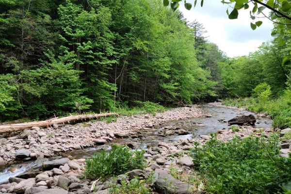 Woodland Valley Campground