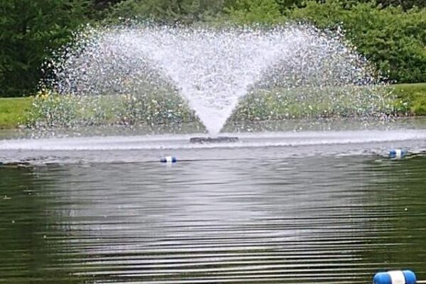 Frances J. Mark Memorial Park