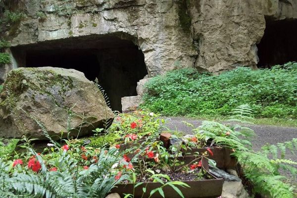 Century House Historical Society & Snyder Estate