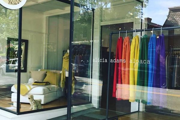 alicia adams alpaca inc.