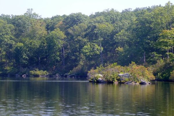 Canopus Lake via Appalachian Trail