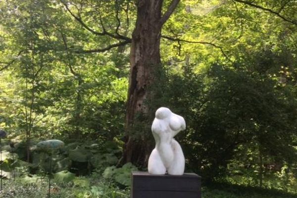 James Cox Gallery At Woodstock