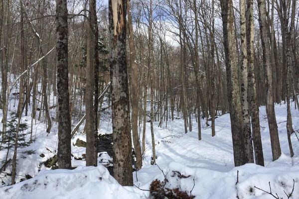 Rochester Hollow Trailhead