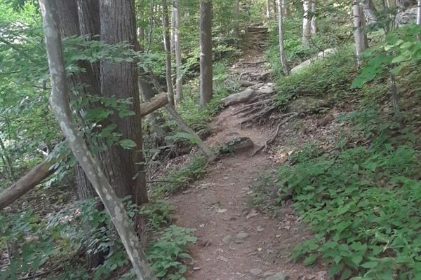 Tremper Mountain Trailhead Parking
