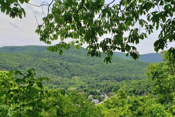 Tanbark Loop Trailhead