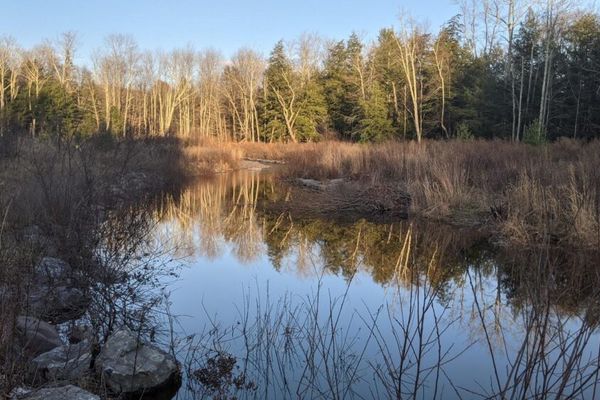 Colgate Lake Wild Forest