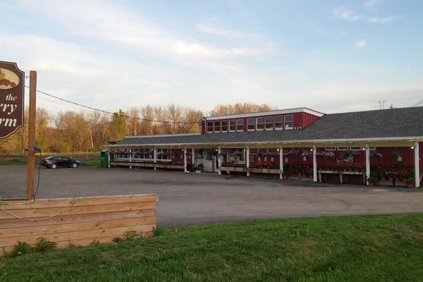 The Chatham Berry Farm LLC