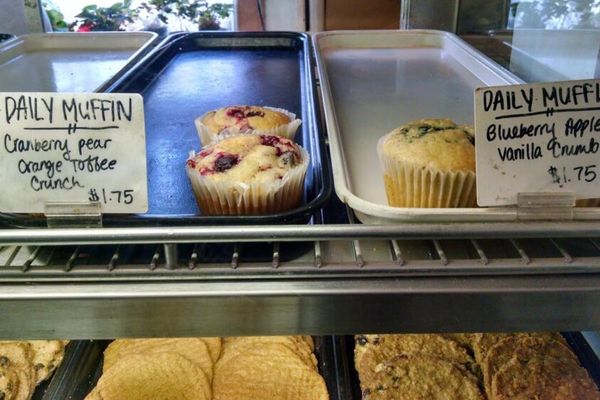 the alternative baker