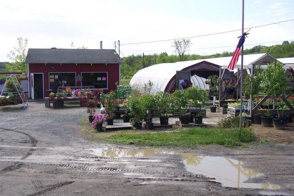 Sleepy Hills Orchard