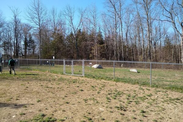 For Paws Of Ulster Dog Park